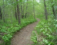 2024 Trails